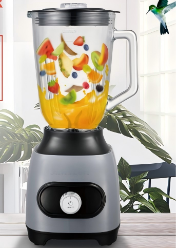 BlendMaster Multi Series Juice Extractor & Blender — 450W–2000W